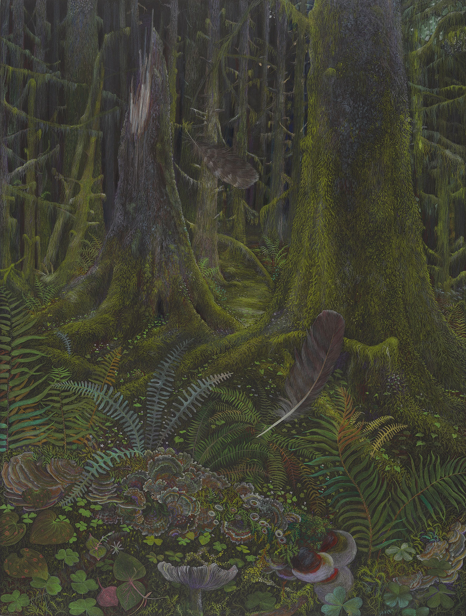 Claire Burbridge, Forest Knoll