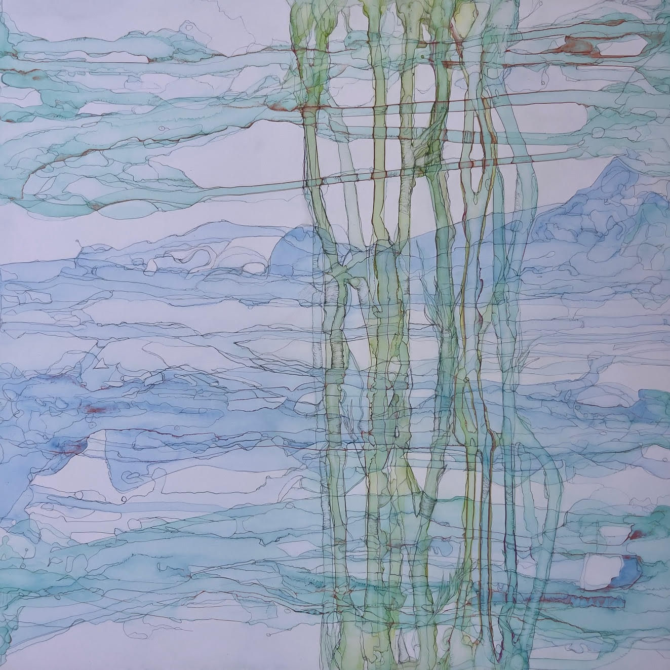 Betsy Wolfston, Elusiveness