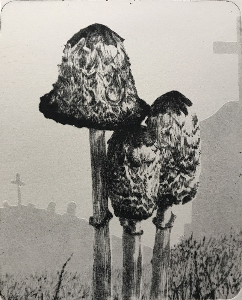 Heather Halpern, Spiritual Growth IV [Shaggy Mane]