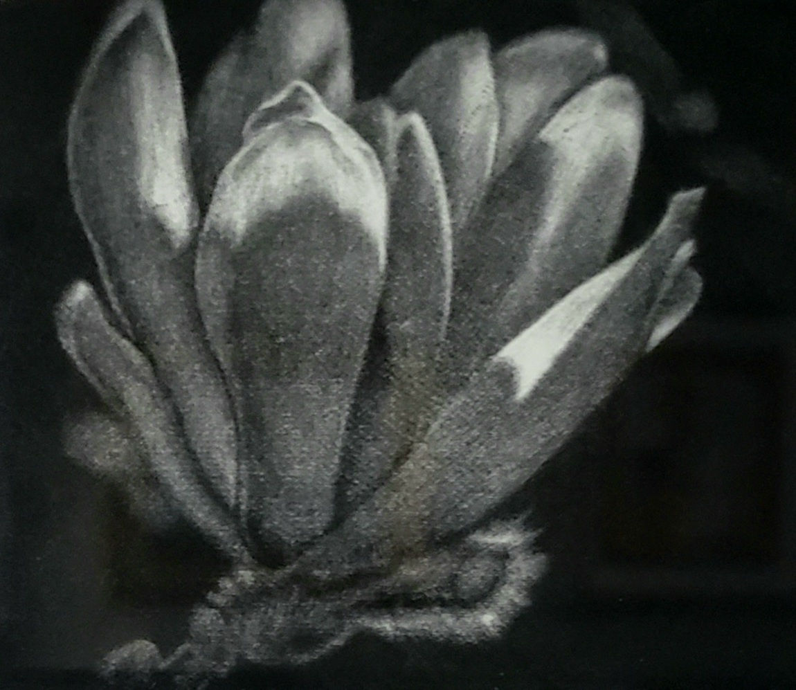 Heather Halpern, Hopeful