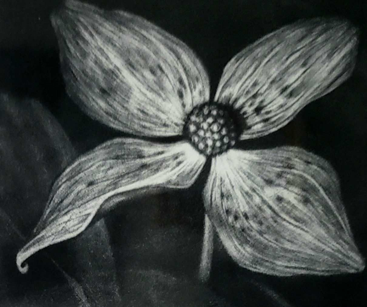 Heather Halpern, Optimistic