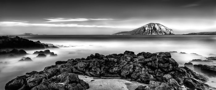 Mark Anderson, Rabbit Island, 2017