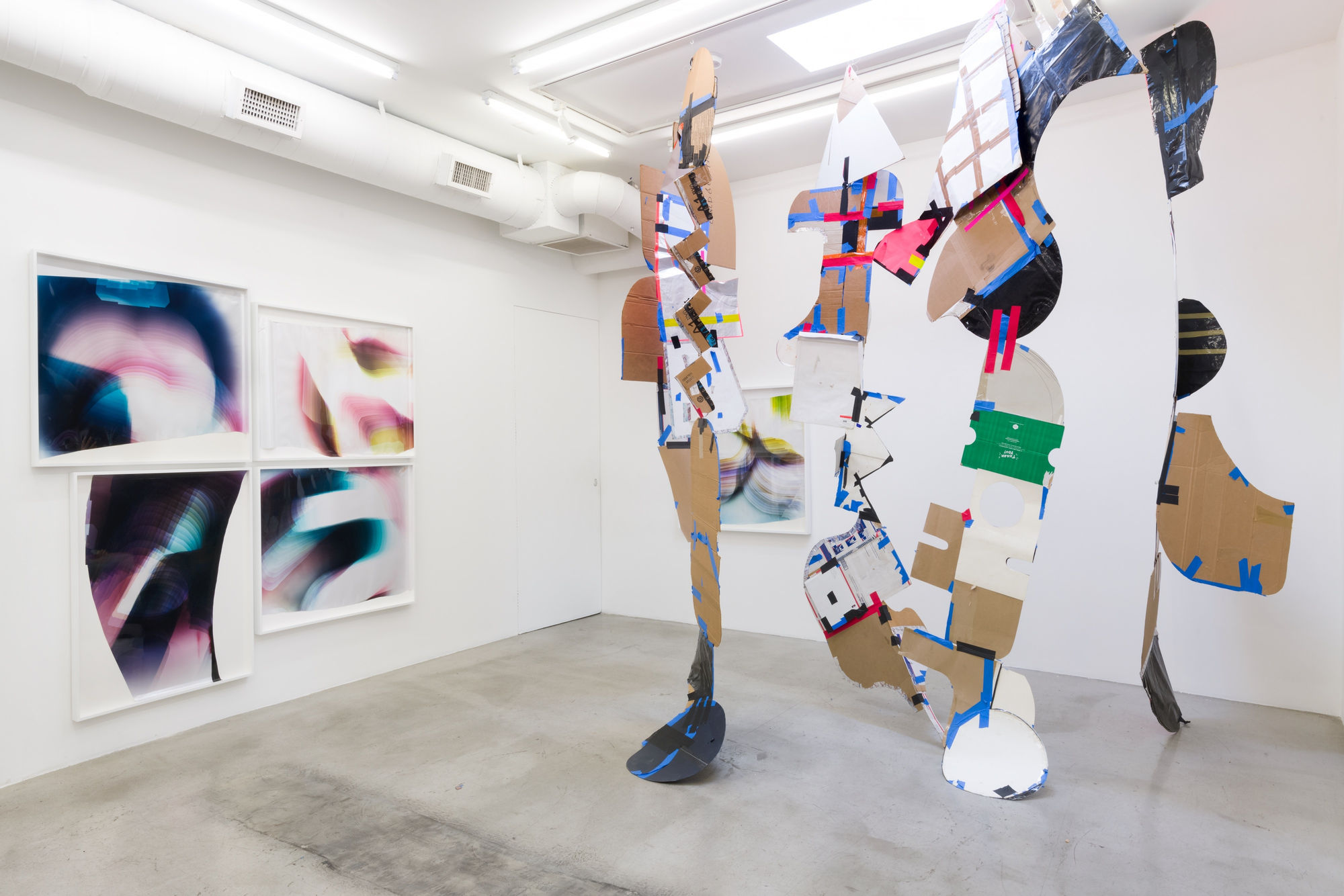 Installation view of Mariah Robertson: The Hydra at M+B, 2018