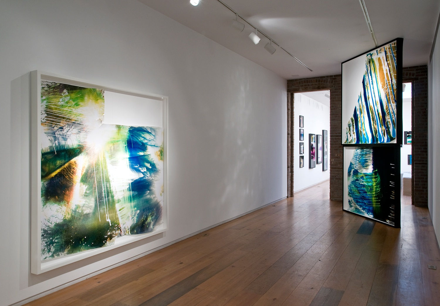 Installation view of Mariah Robertson: Permanent Puberty at American Contemporary, New York, 2013