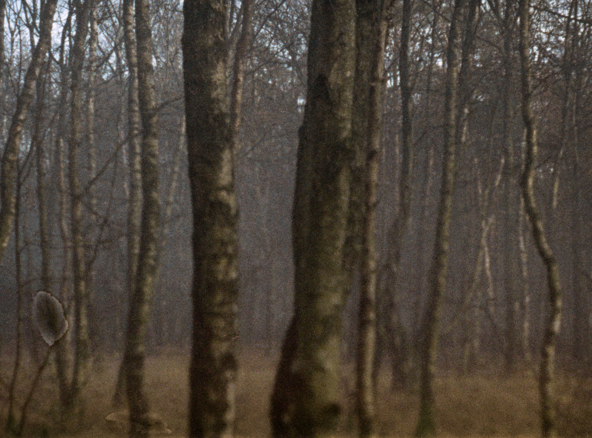 Door de ogen van Willem Van Zoetendaal