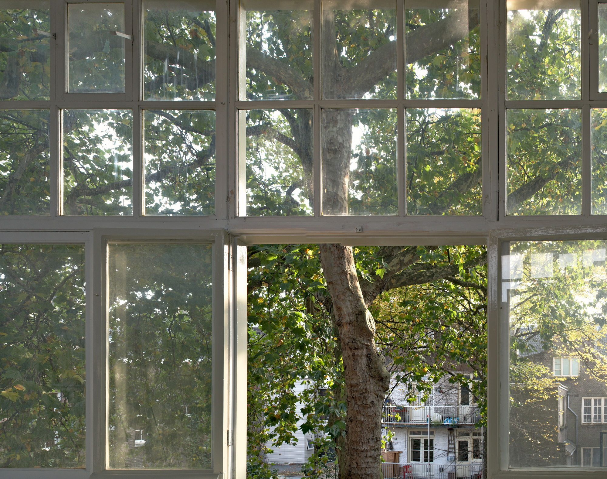 Door de ogen van Willem Van Zoetendaal