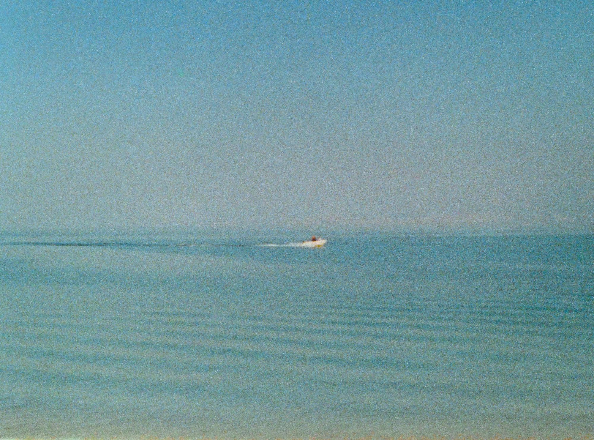 Summer in the City '24