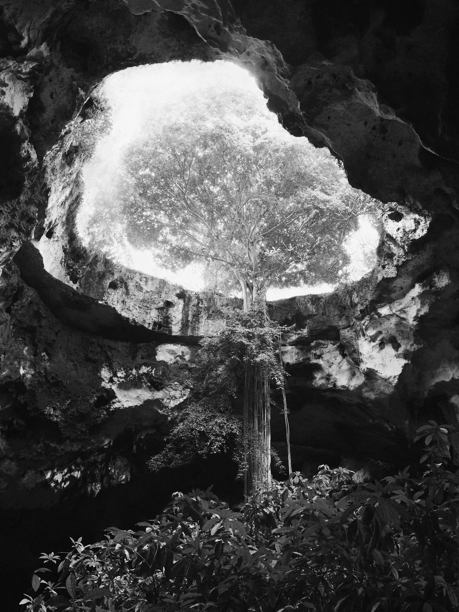 Aether: Rogier Houwen