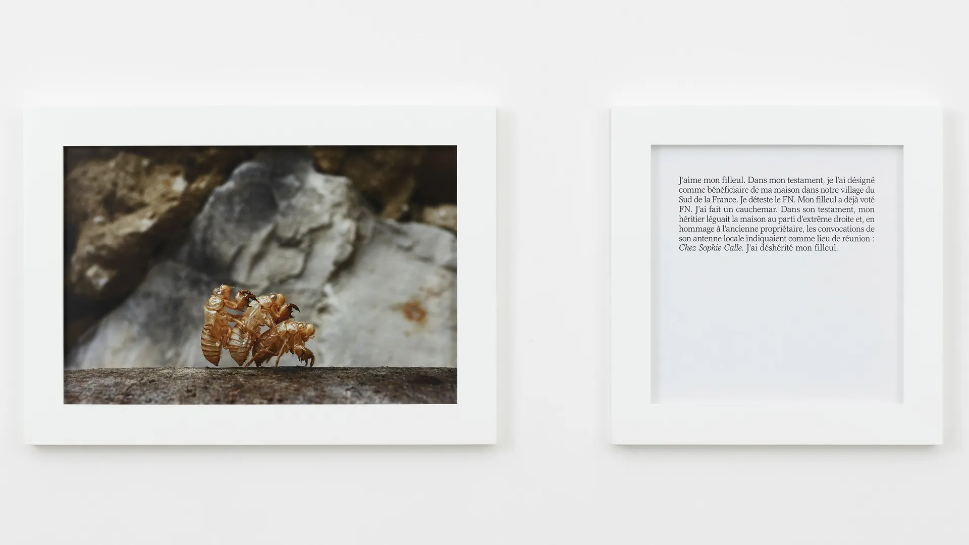 SHOWROOM: SOPHIE CALLE