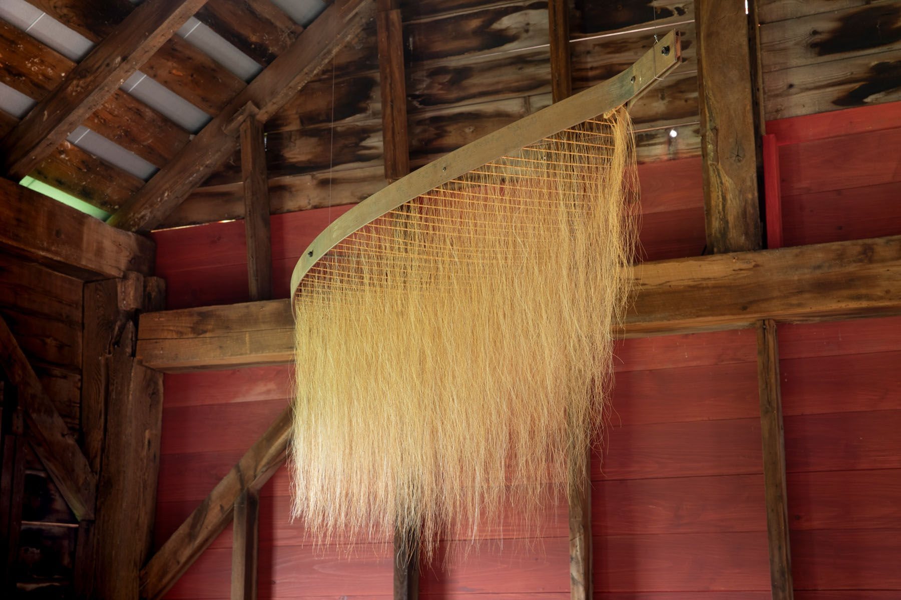 photo courtesy of the artist