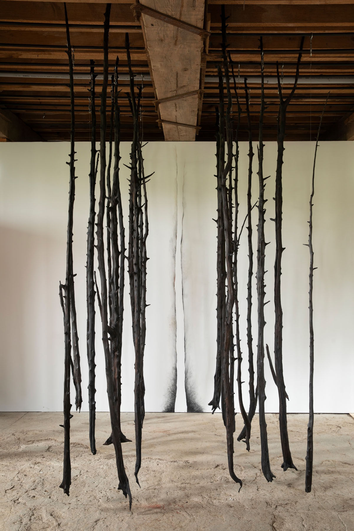 photo courtesy of the artist