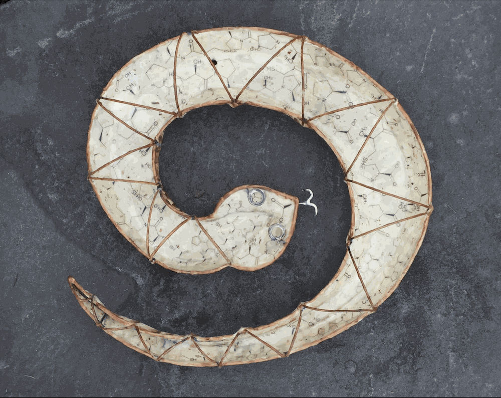 Snake (Satopril) © Christy Rupp