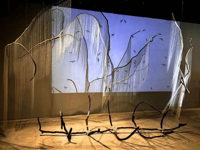 Millicent Young Sutra for Belonging, 2024 grapevines, hair, lead, projection, sound 144" x 240" x 140"