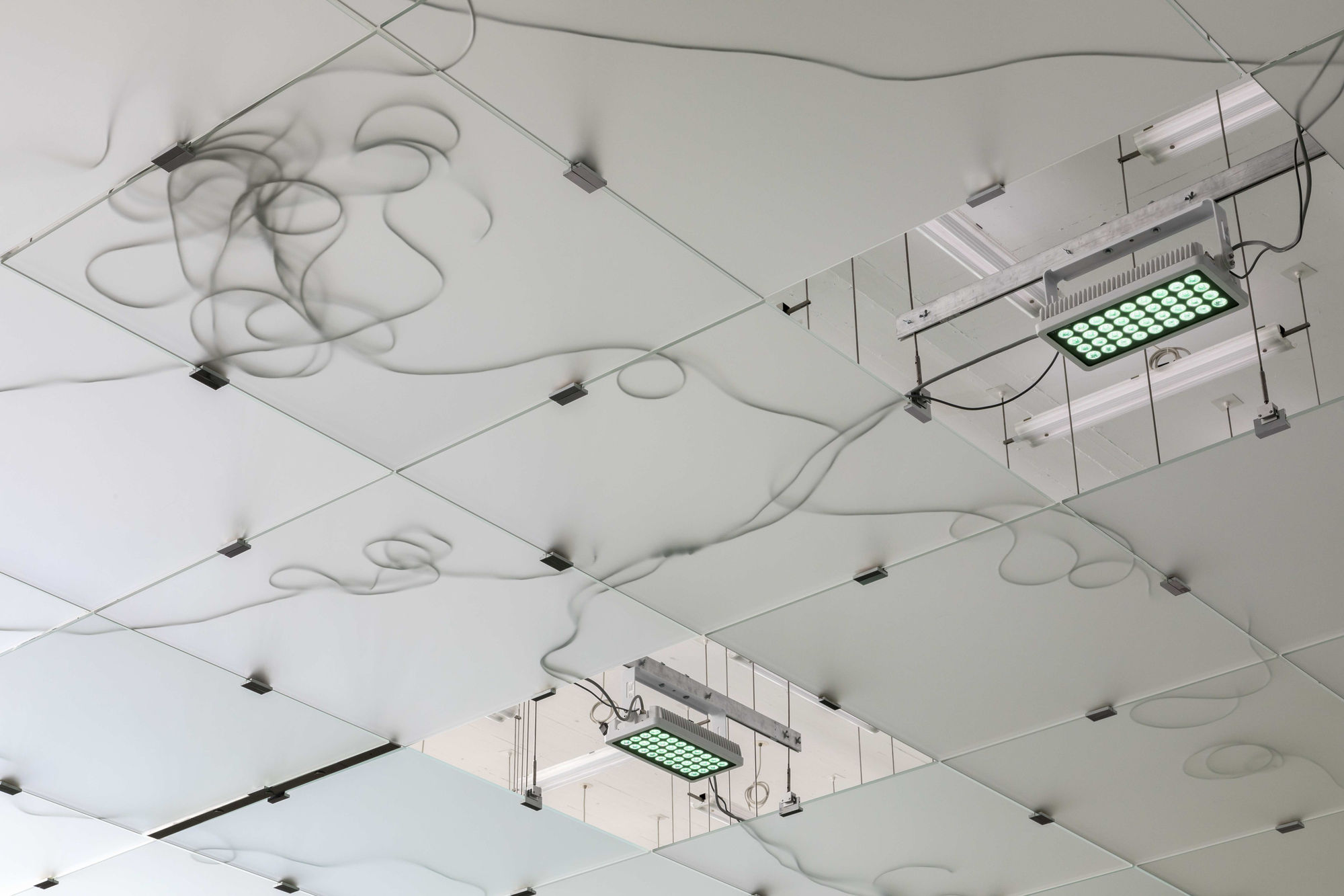 Pamela Rosenkranz House of Meme Ausstellungsansicht EG, Kunsthaus Bregenz, 2021 Foto: Markus Tretter Courtesy of the artist © Pamela Rosenkranz, Kunsthaus Bregenz