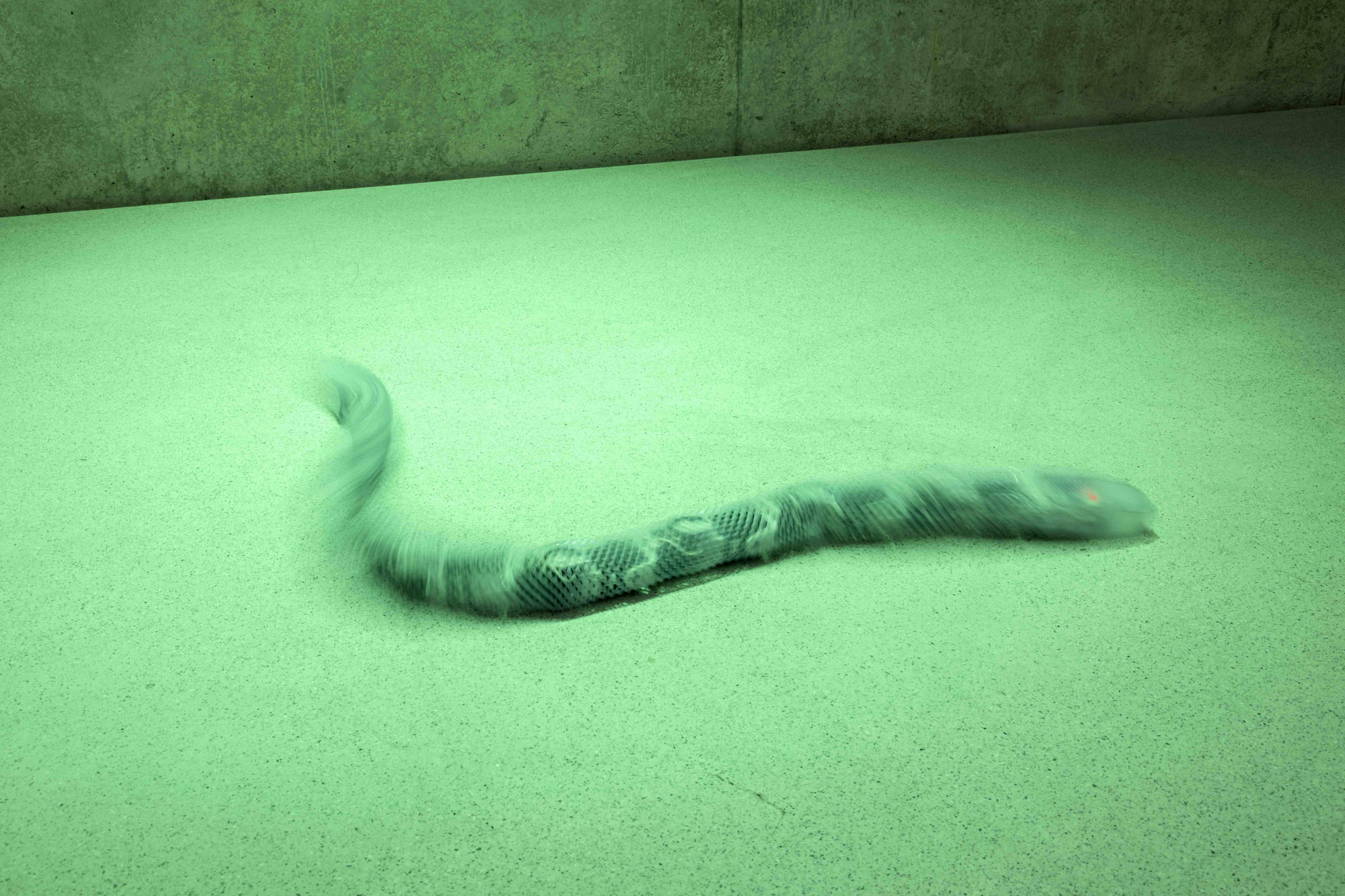 Pamela Rosenkranz House of Meme Ausstellungsansicht EG, Kunsthaus Bregenz, 2021 Foto: Markus Tretter Courtesy of the artist © Pamela Rosenkranz, Kunsthaus Bregenz