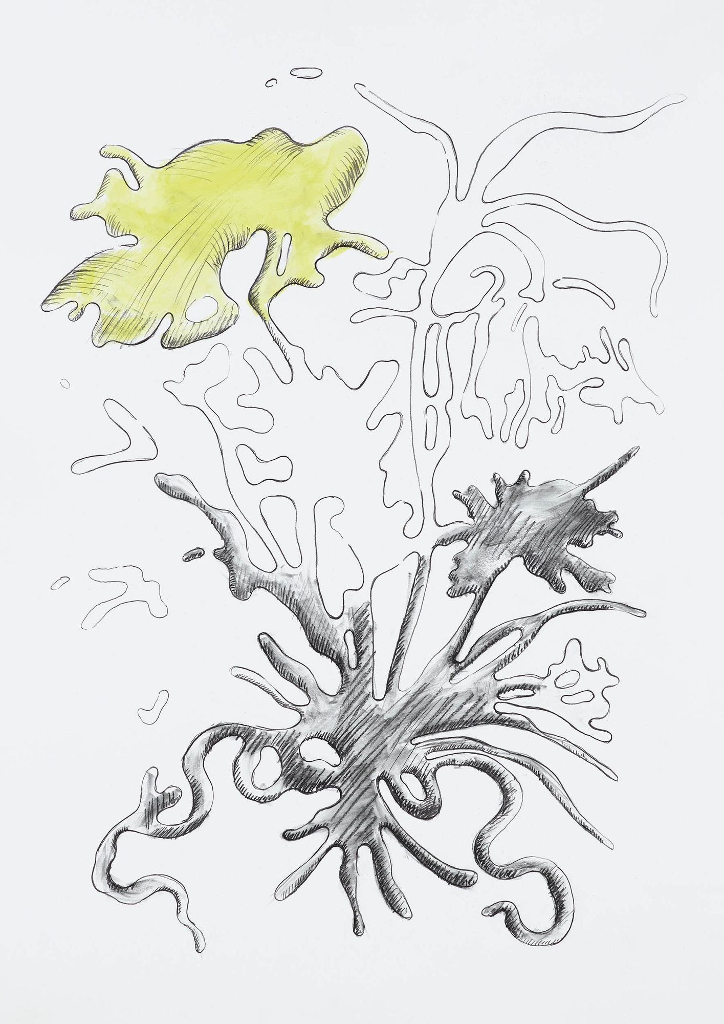 MARKUS HUEMER Roter Virus „Brain“, 2021 Graphite/charcoal/watercolour on paper 84,1 x 59,4 cm