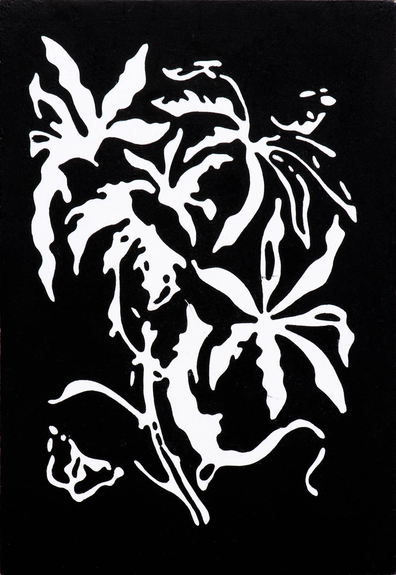 Markus Huemer, SelbstbestaeubCookieCA, 2014