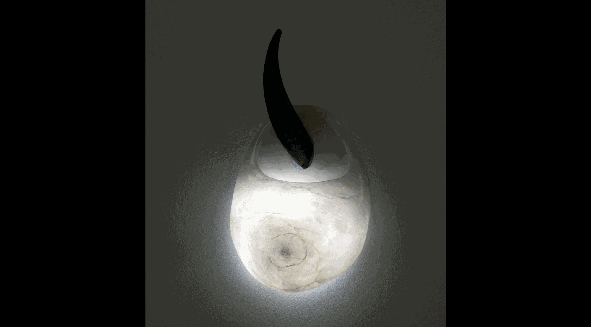 Susana Guerrero, Trofeo, 2013