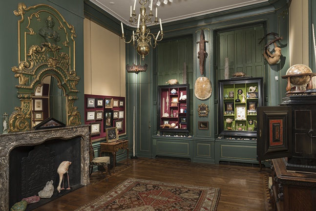 CABINET OF CURIOSITIES 2014