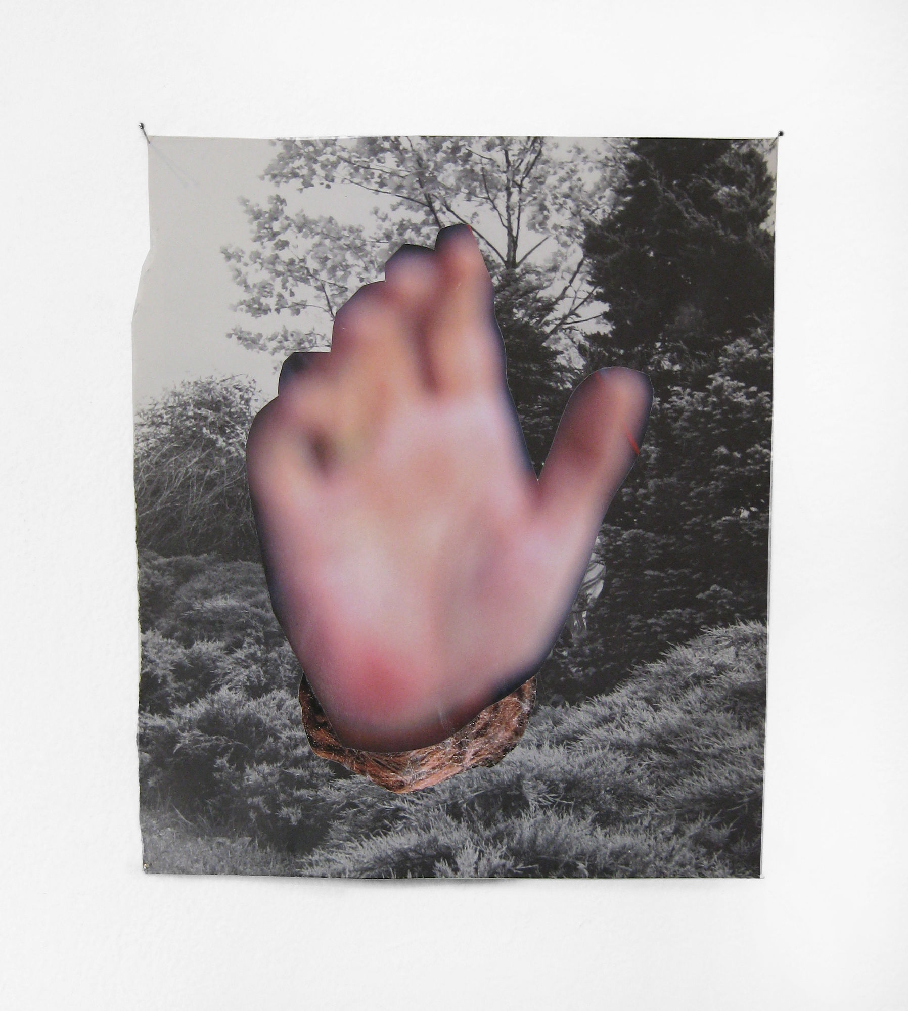 Rob Cherry | Big People Little Trees