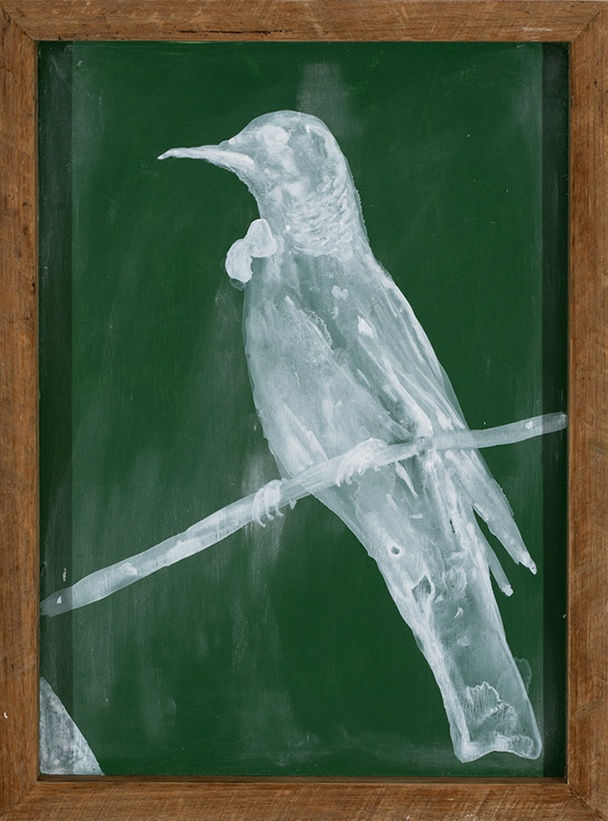 Richard Lewer | What They Didn't Teach Me At School | The Waikato Wars