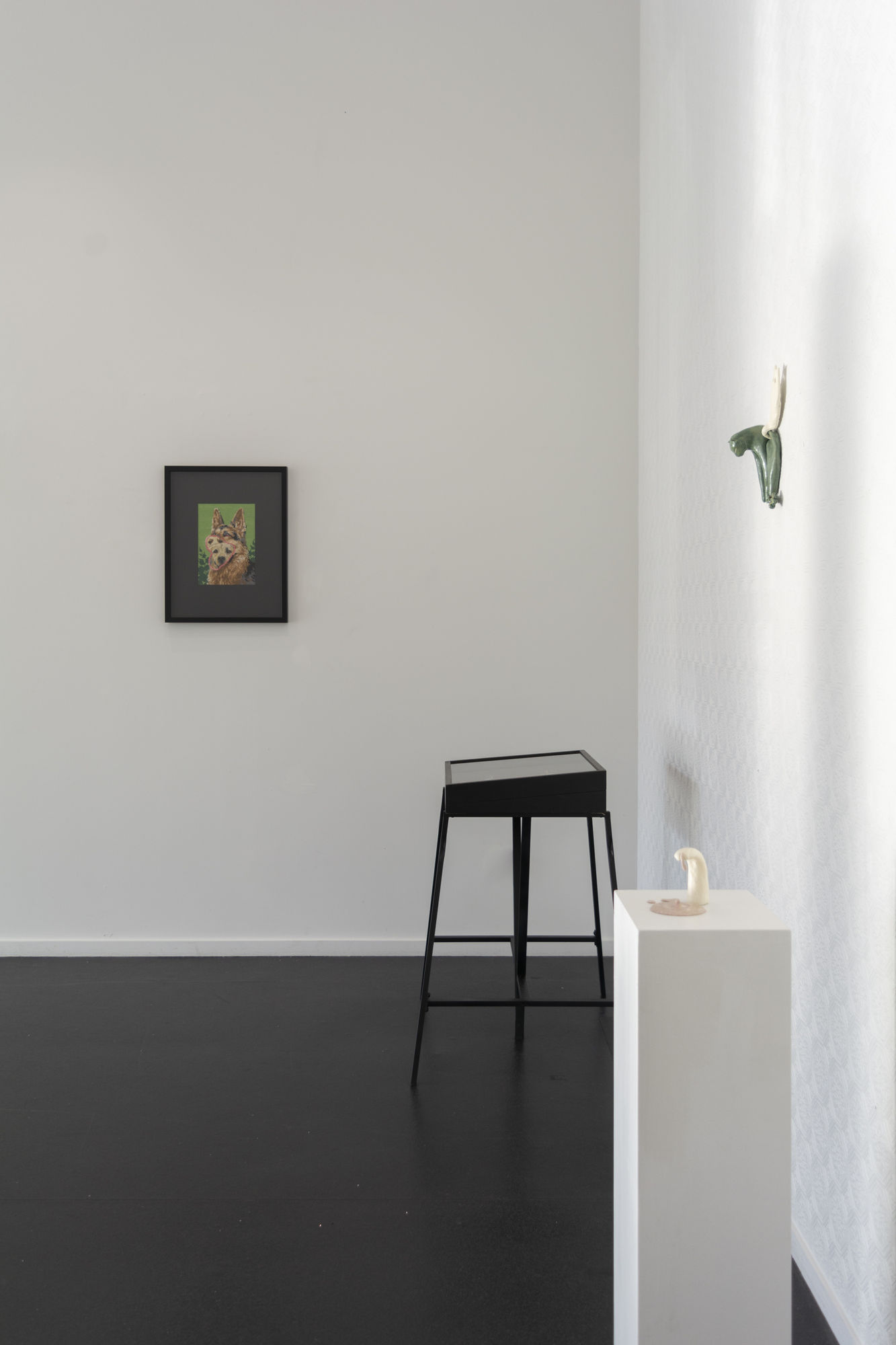 Angela Singer | Soft Star