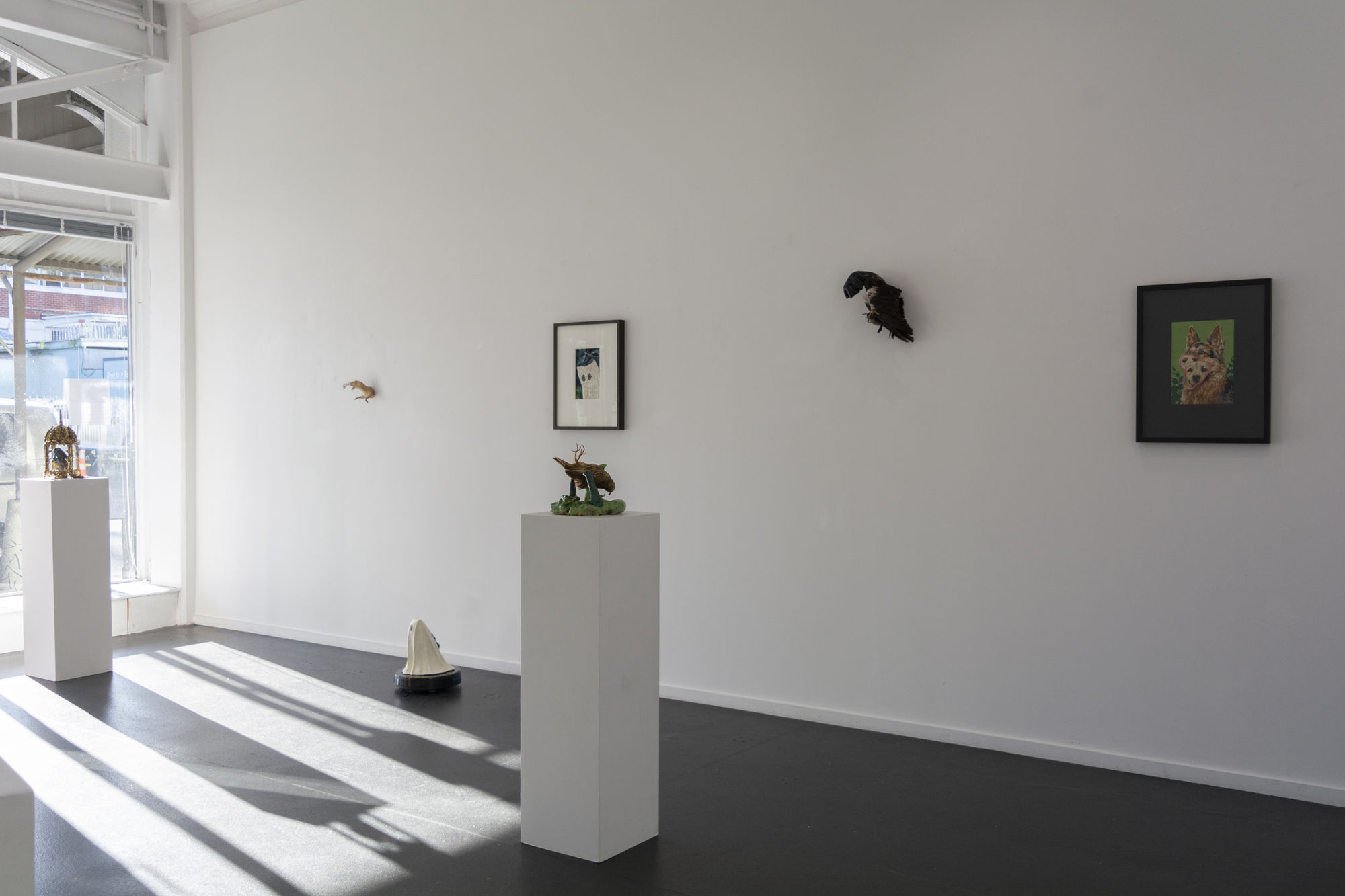 Angela Singer | Soft Star