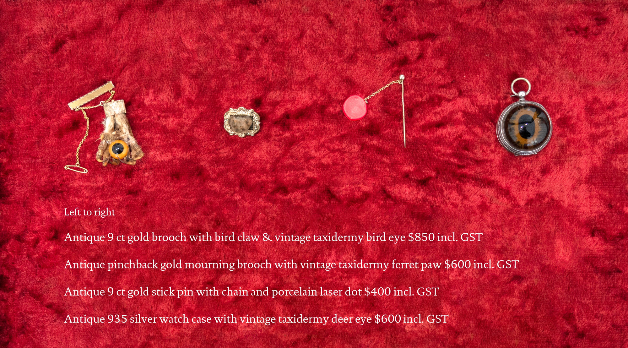 Angela Singer | Soft Star