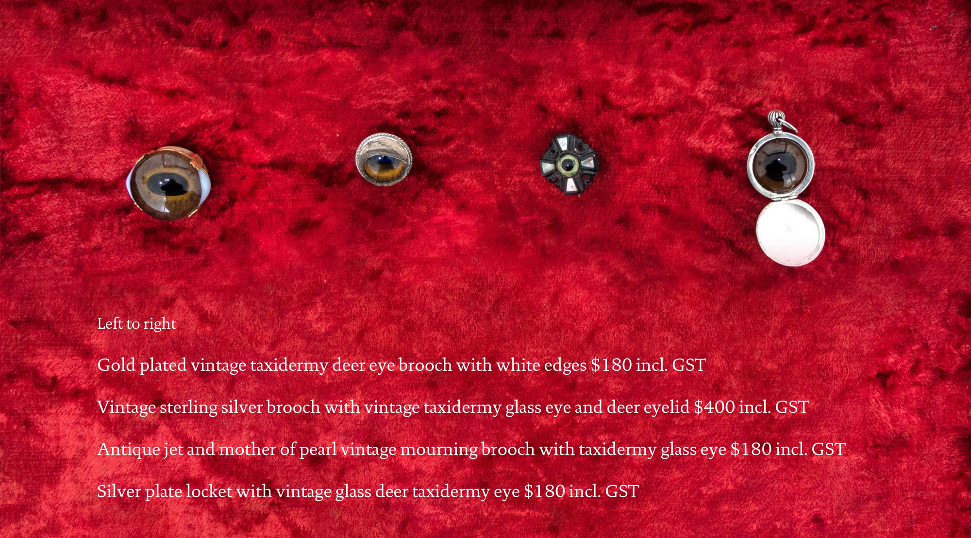 Angela Singer | Soft Star