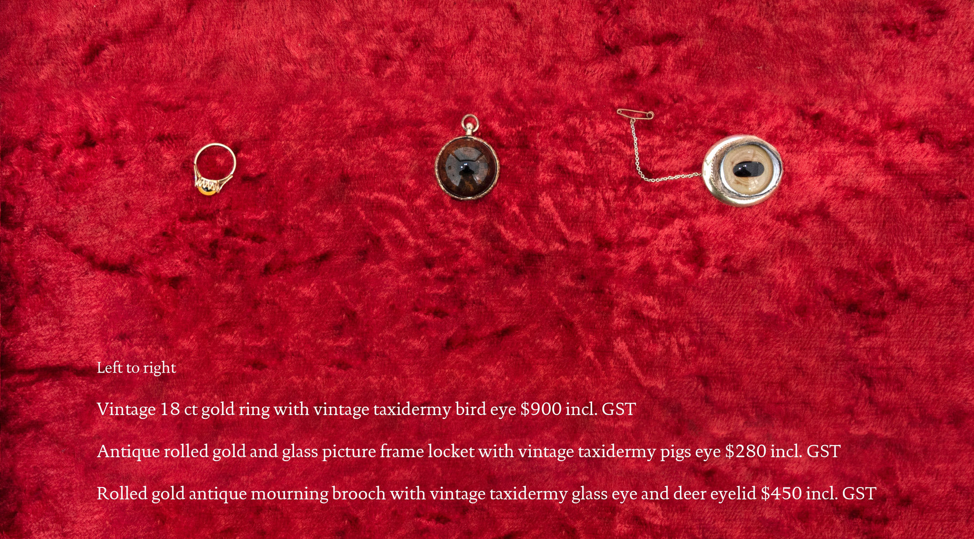 Angela Singer | Soft Star