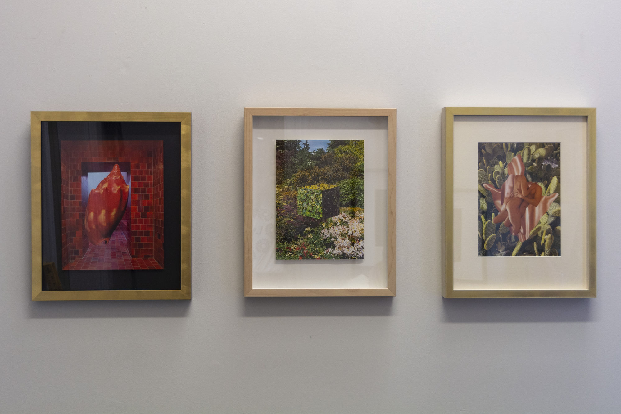 Megan Archer | Analog Remedies for a Withered Soul