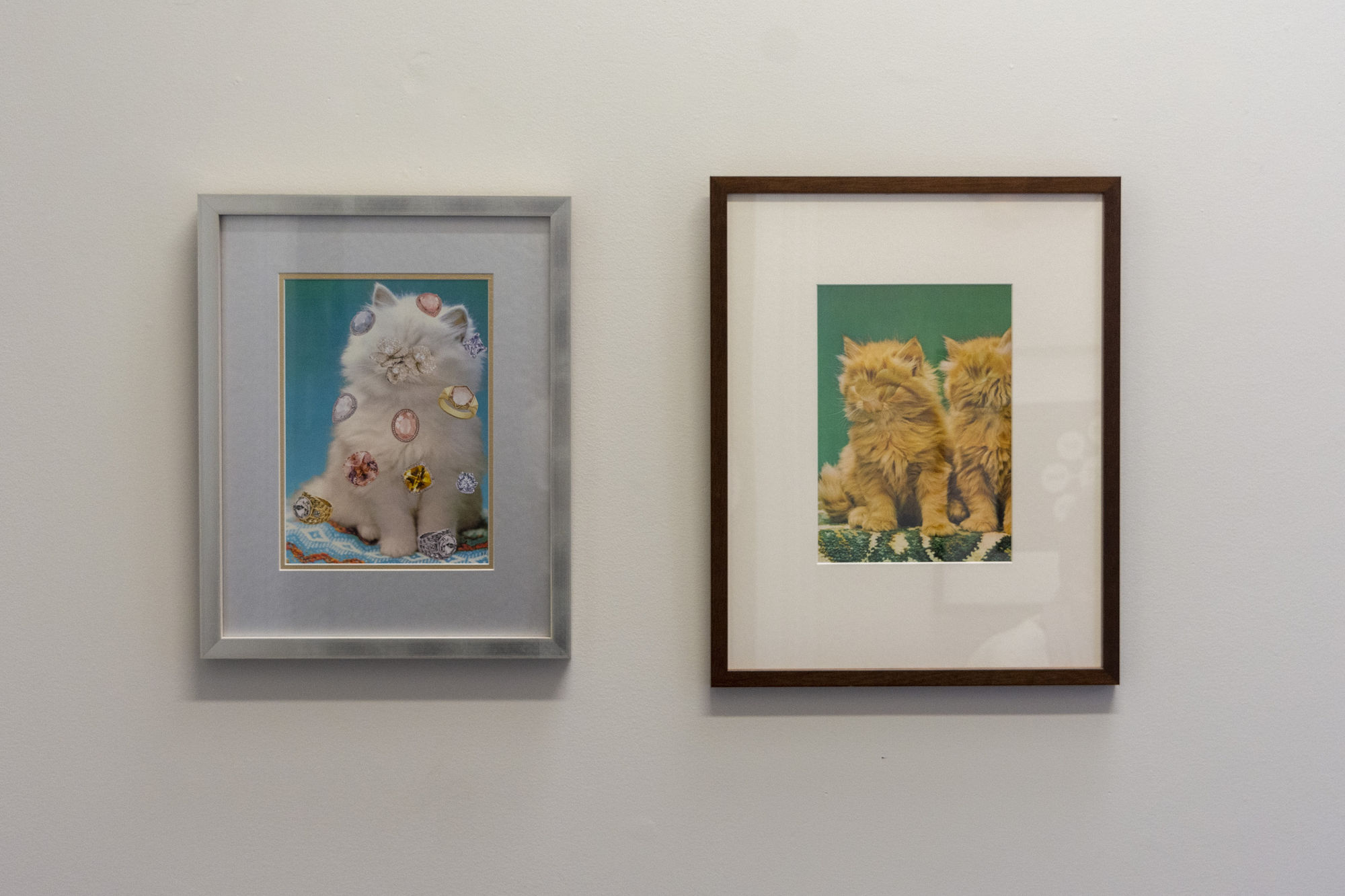 Megan Archer | Analog Remedies for a Withered Soul