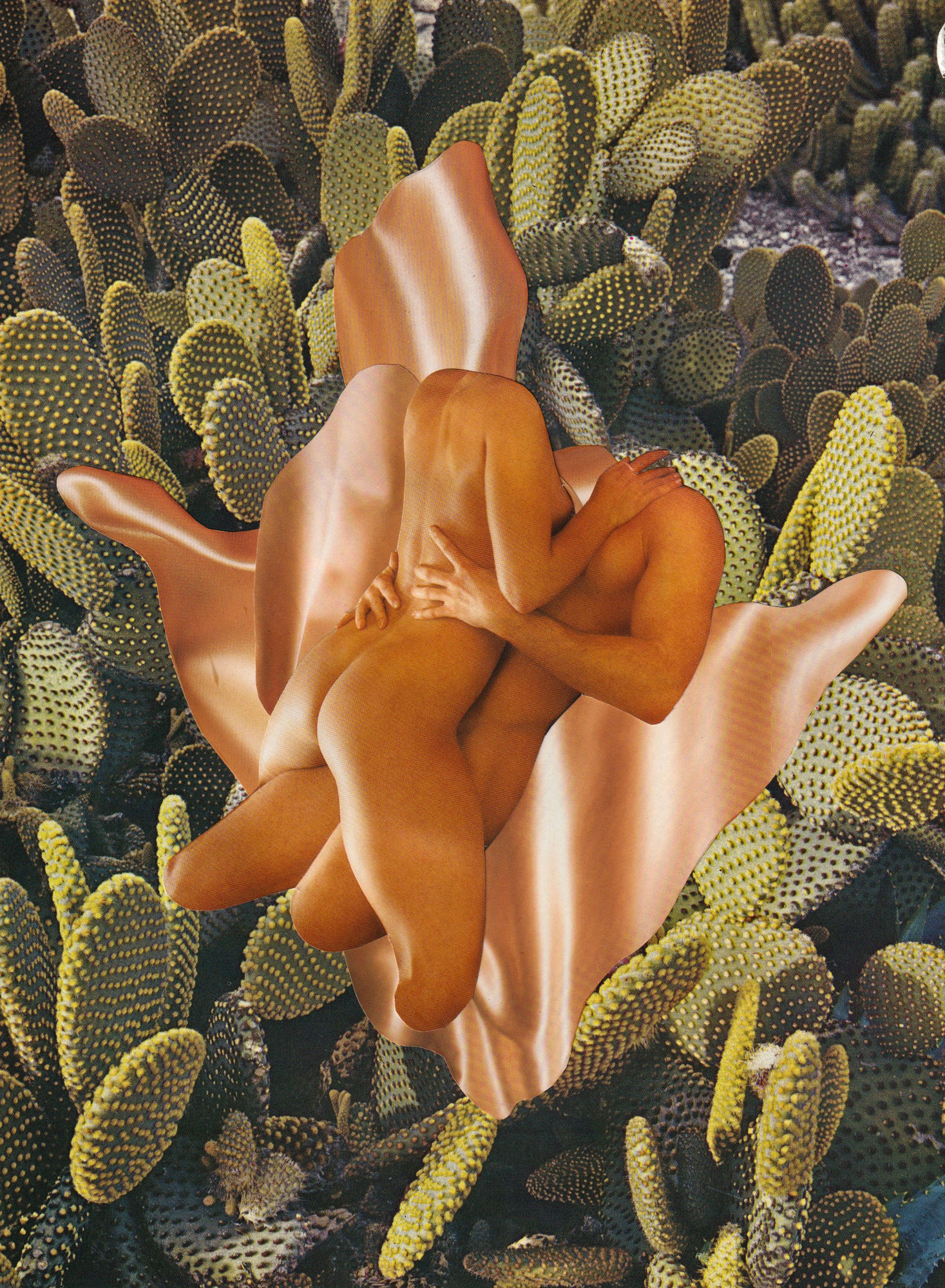 Megan Archer | Analog Remedies for a Withered Soul