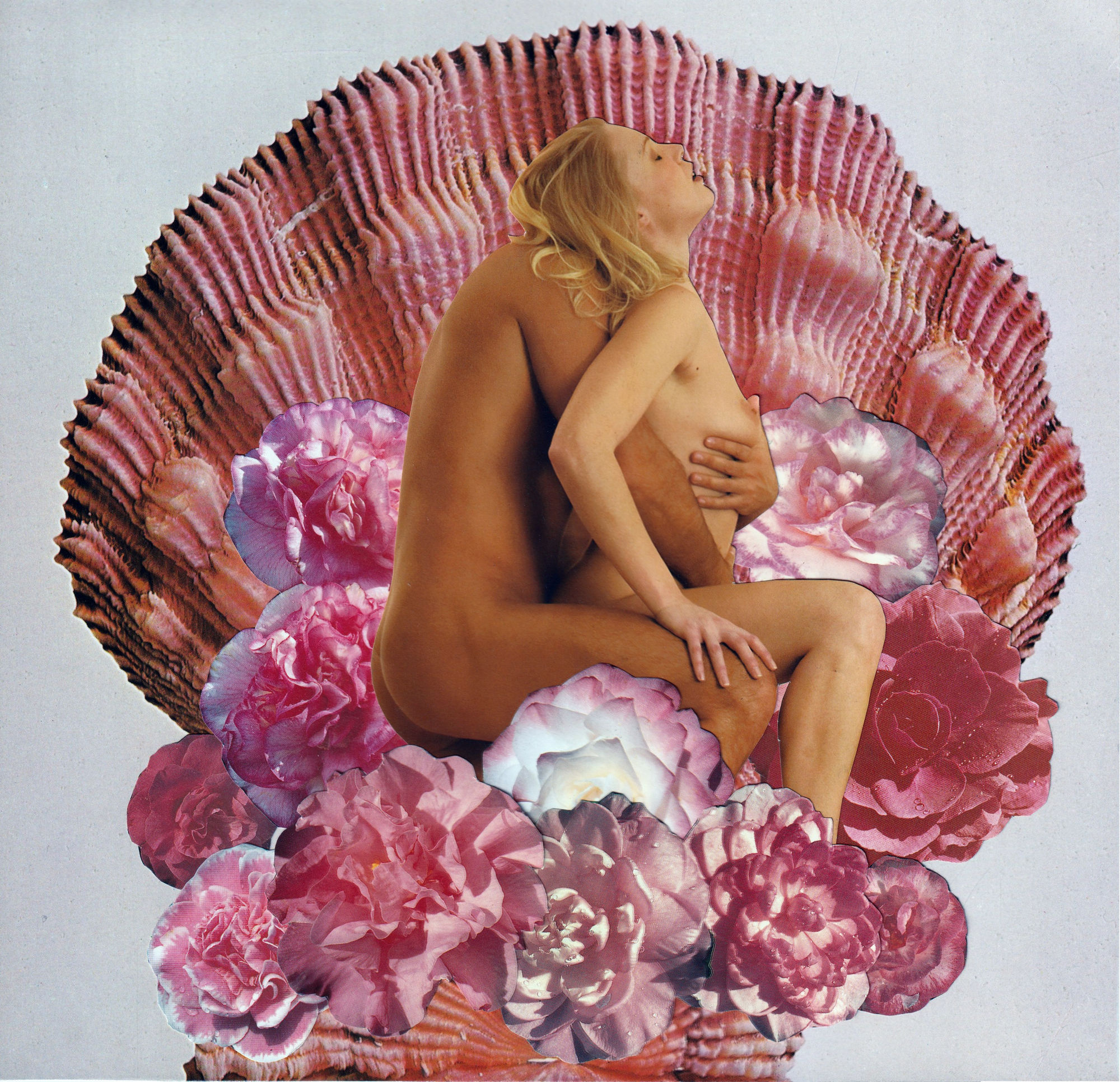 Megan Archer | Analog Remedies for a Withered Soul