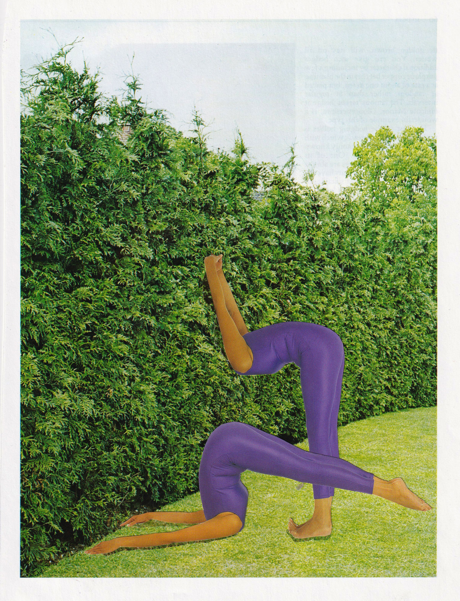 Megan Archer | Analog Remedies for a Withered Soul