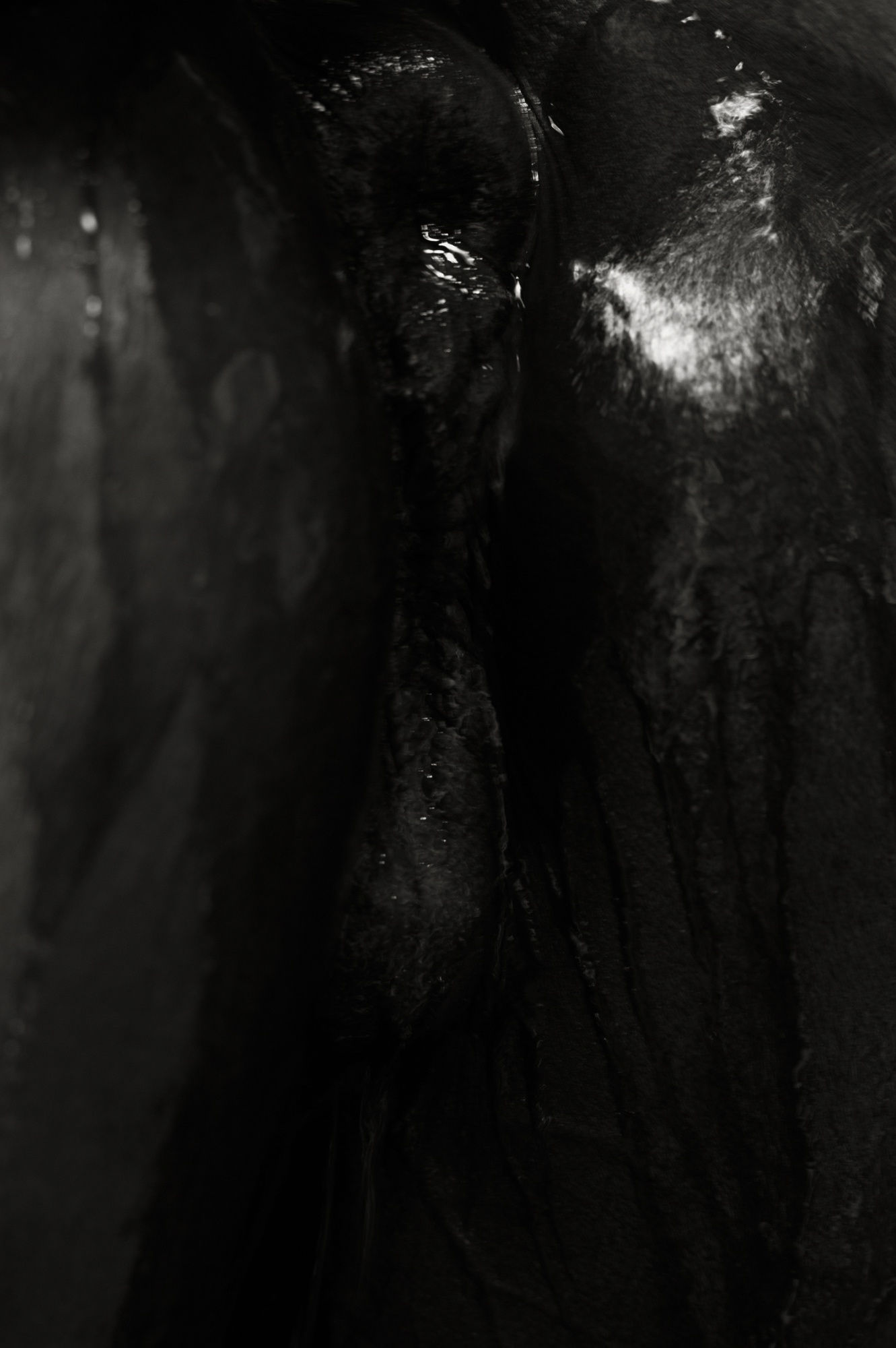 Bruce Connew | Body of Work