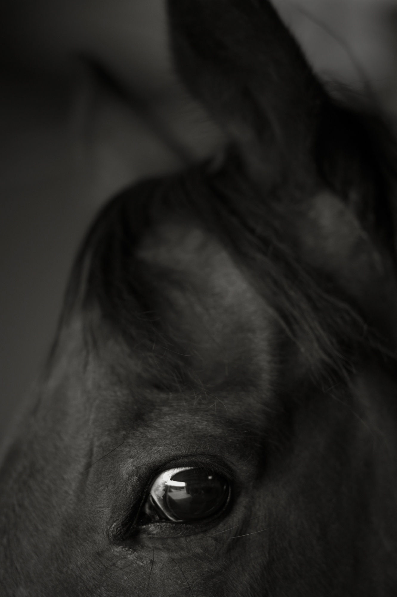 Bruce Connew | Body of Work