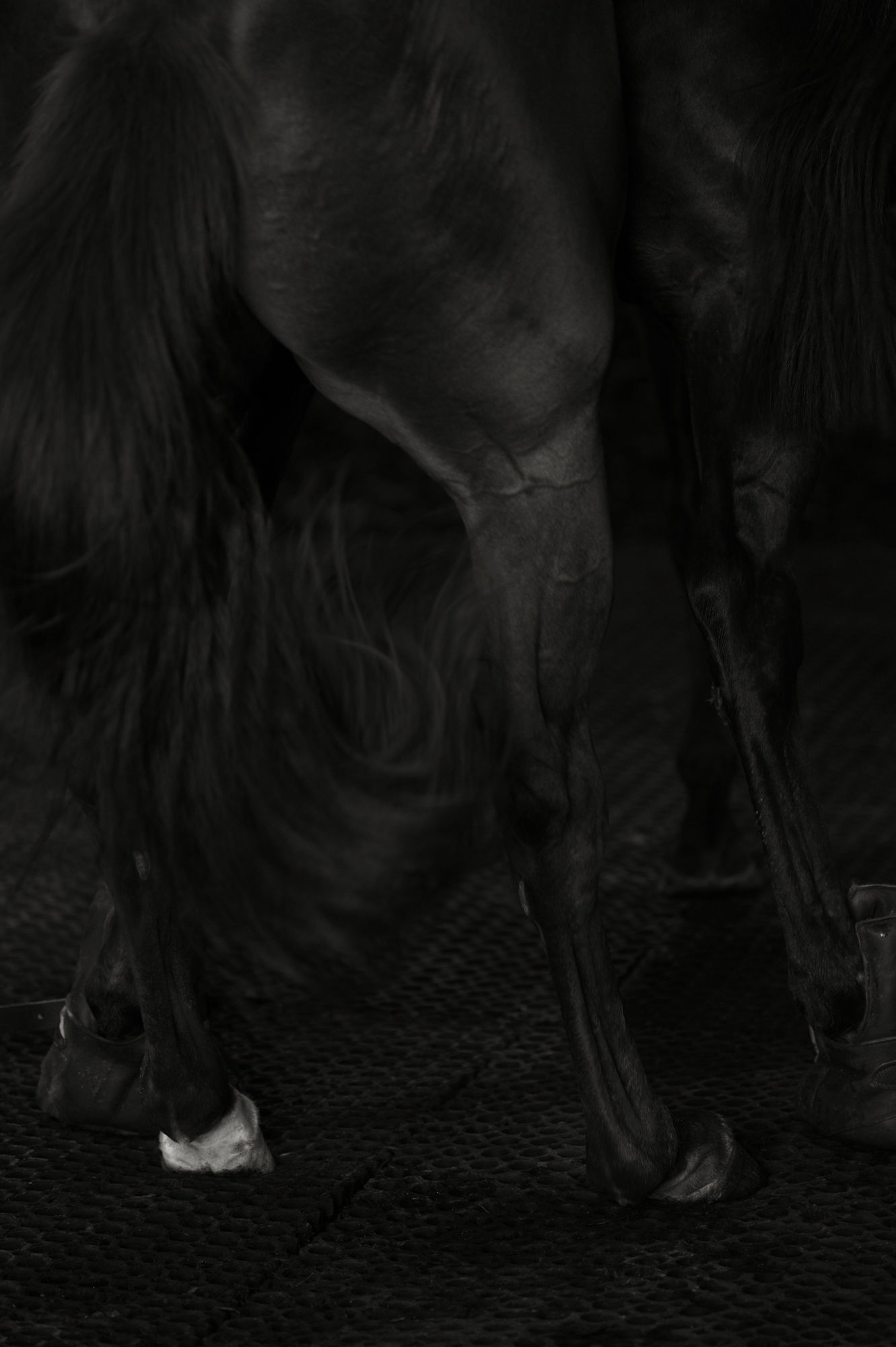 Bruce Connew | Body of Work