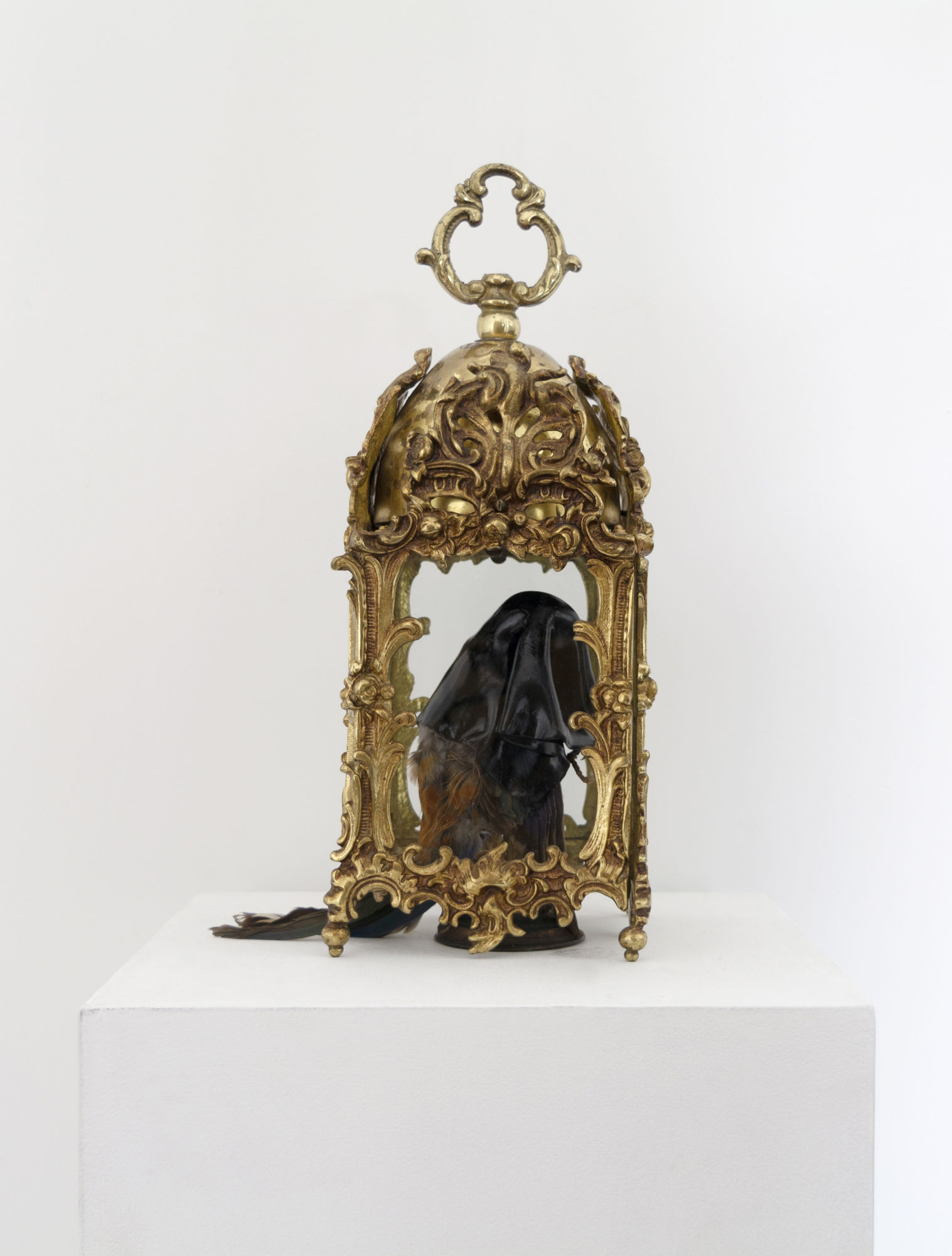 Angela Singer | Soft Star