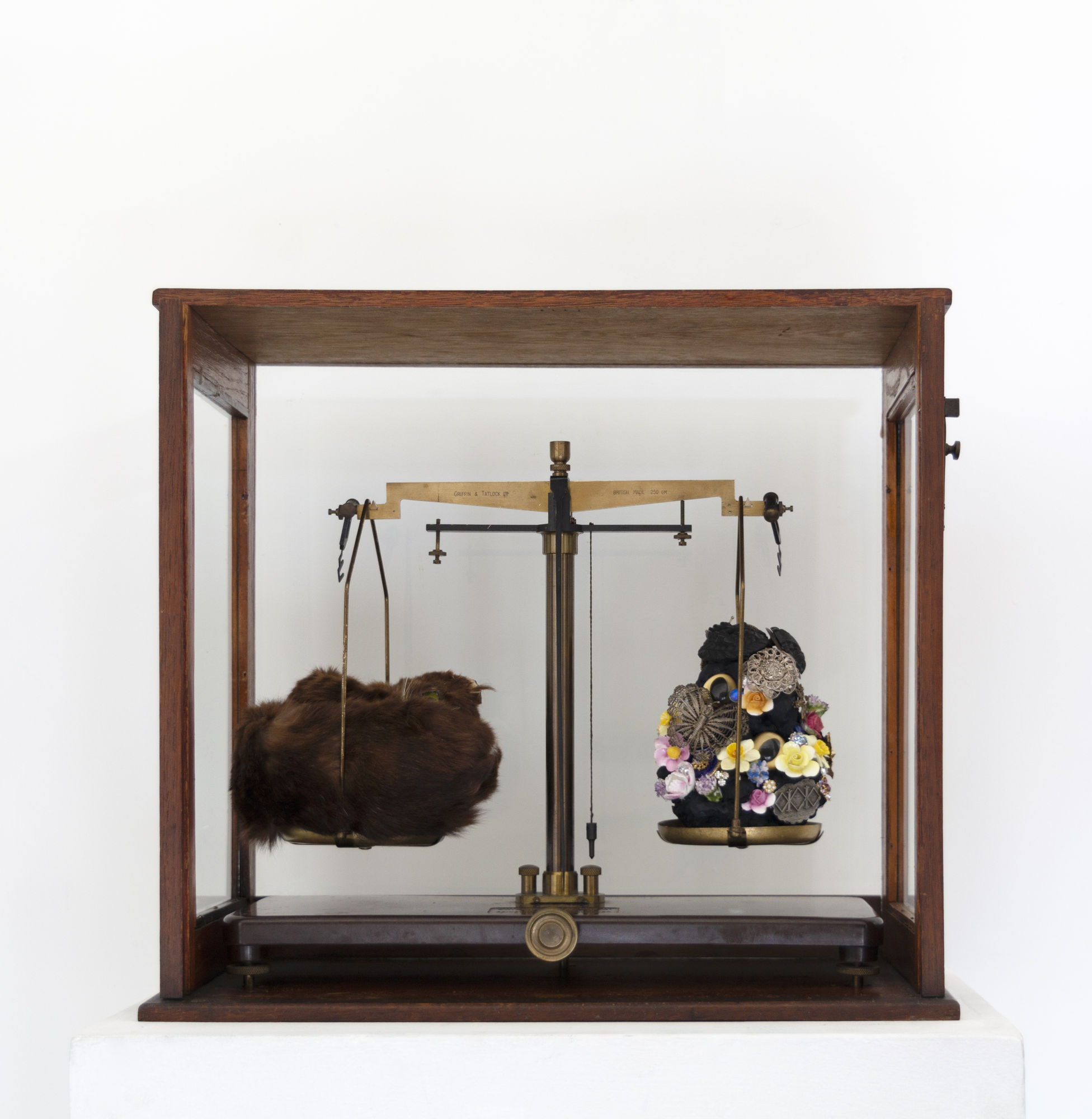 Angela Singer | Soft Star