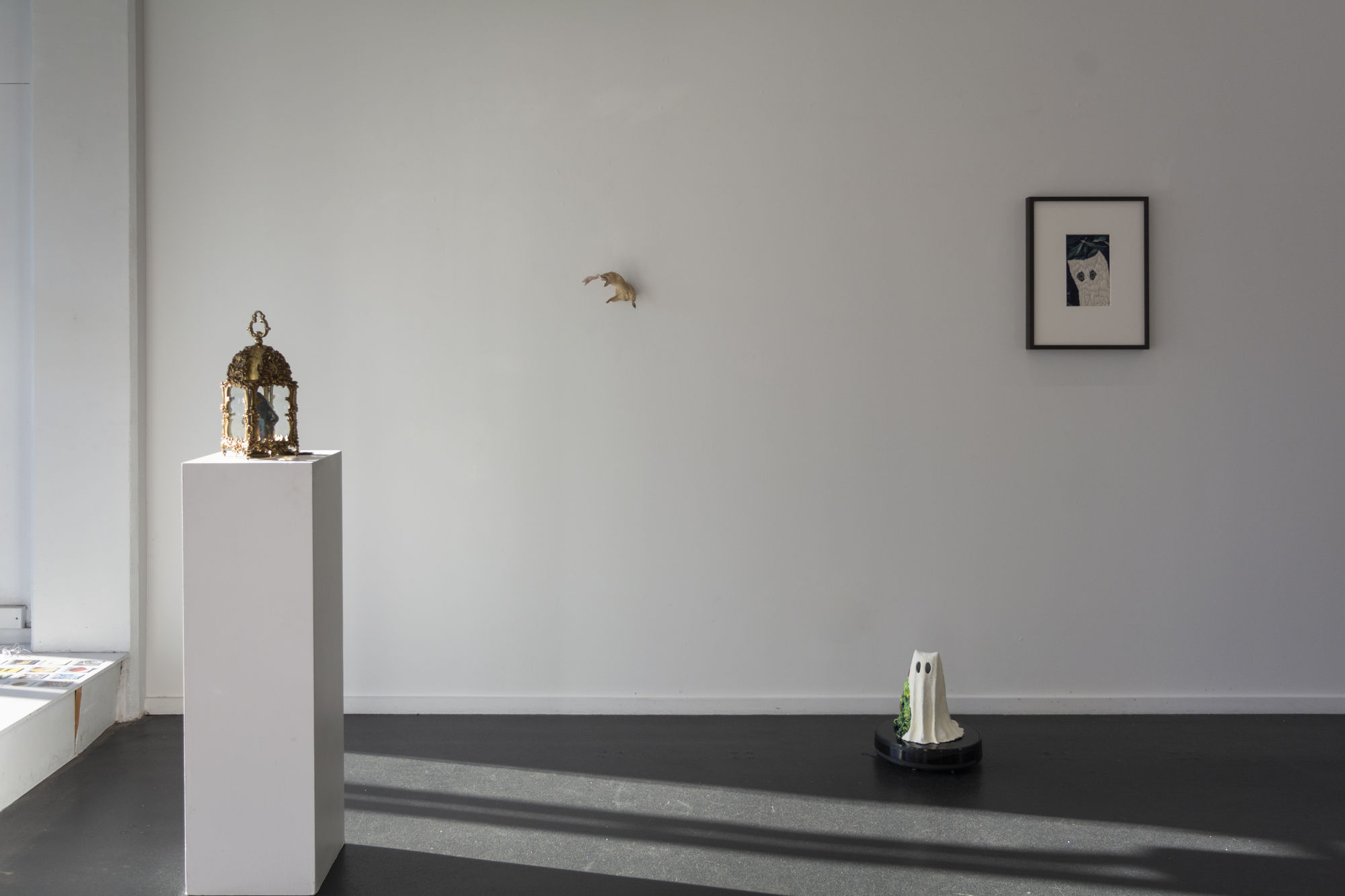 Angela Singer | Soft Star