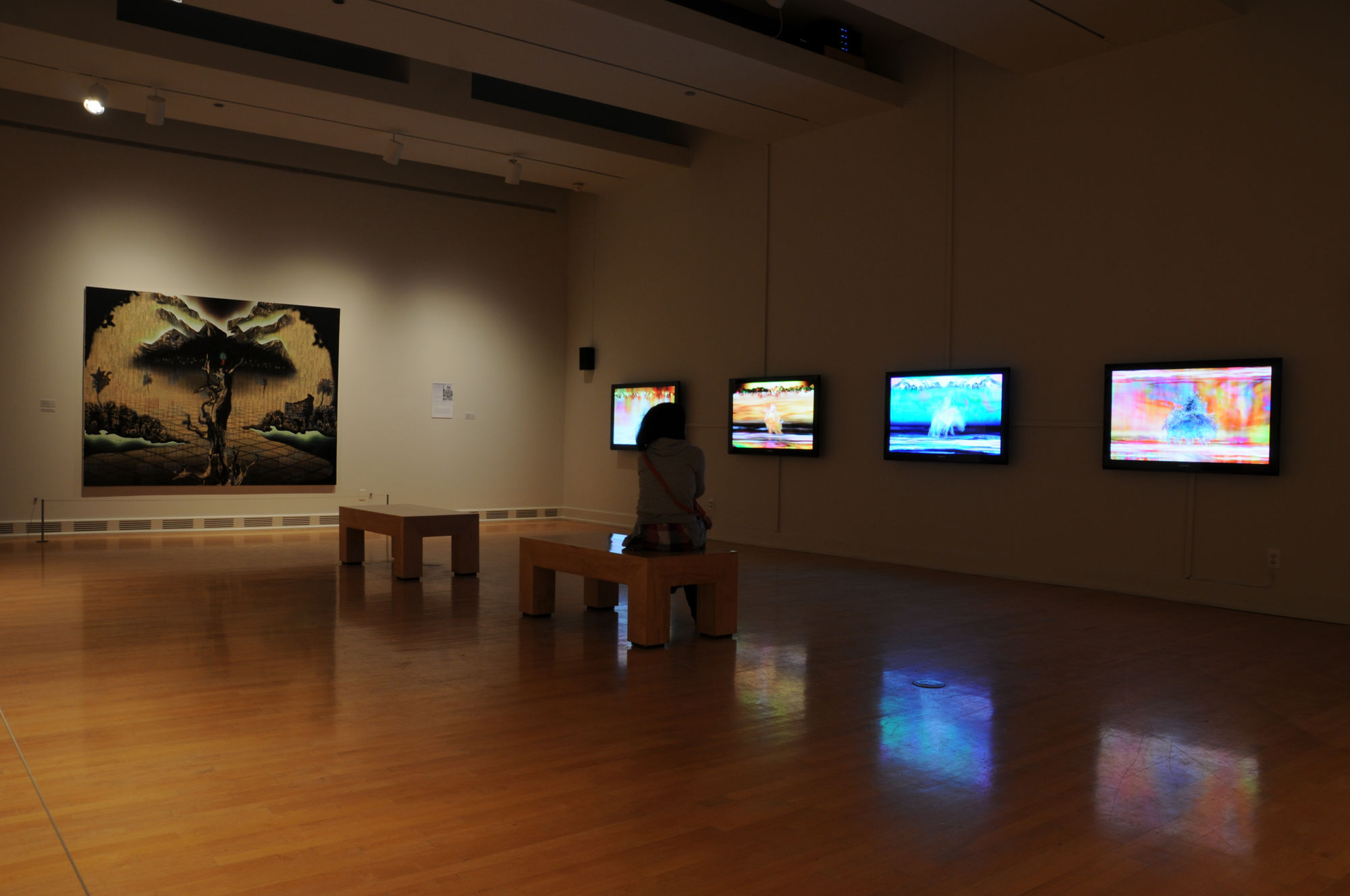 Altered States: Paintings by Gordon Cheung from the Stéphane Janssen Collection