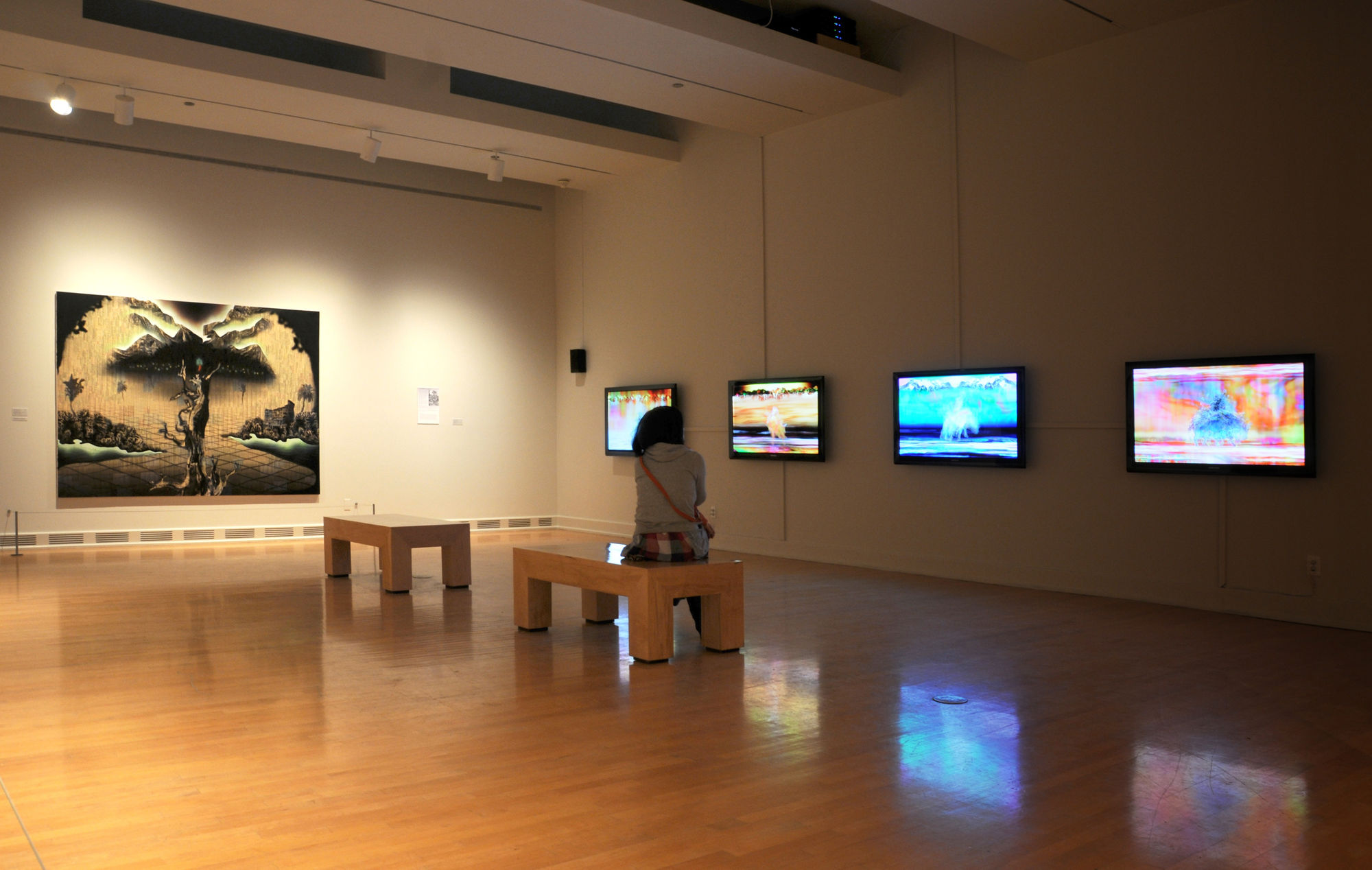 Altered States: Paintings by Gordon Cheung from the Stéphane Janssen Collection