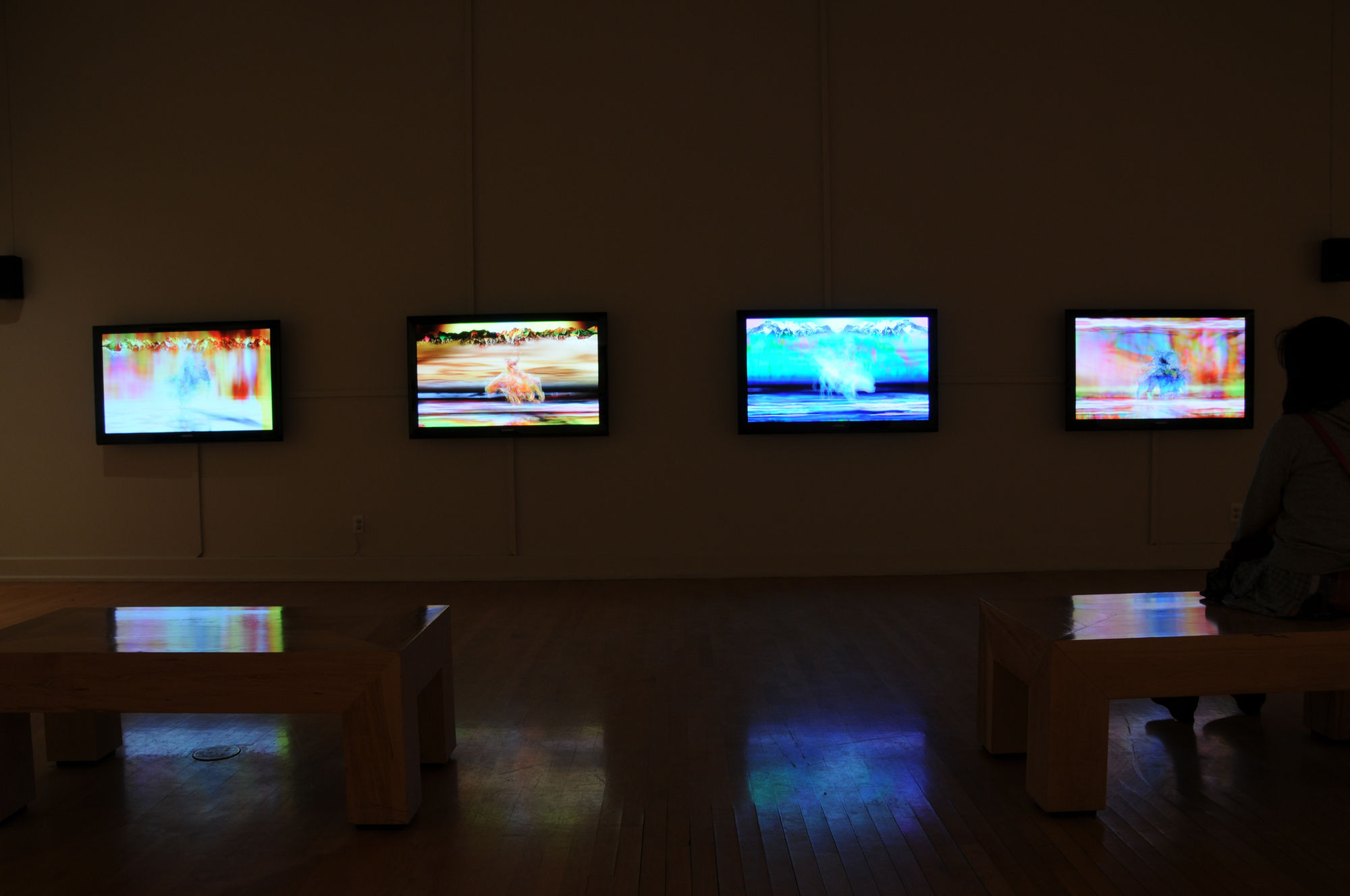 Altered States: Paintings by Gordon Cheung from the Stéphane Janssen Collection