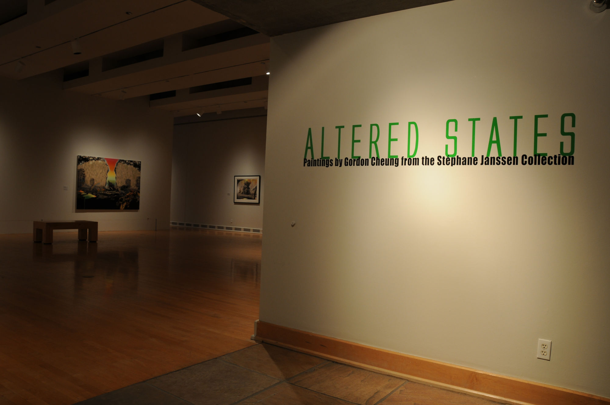 Altered States: Paintings by Gordon Cheung from the Stéphane Janssen Collection
