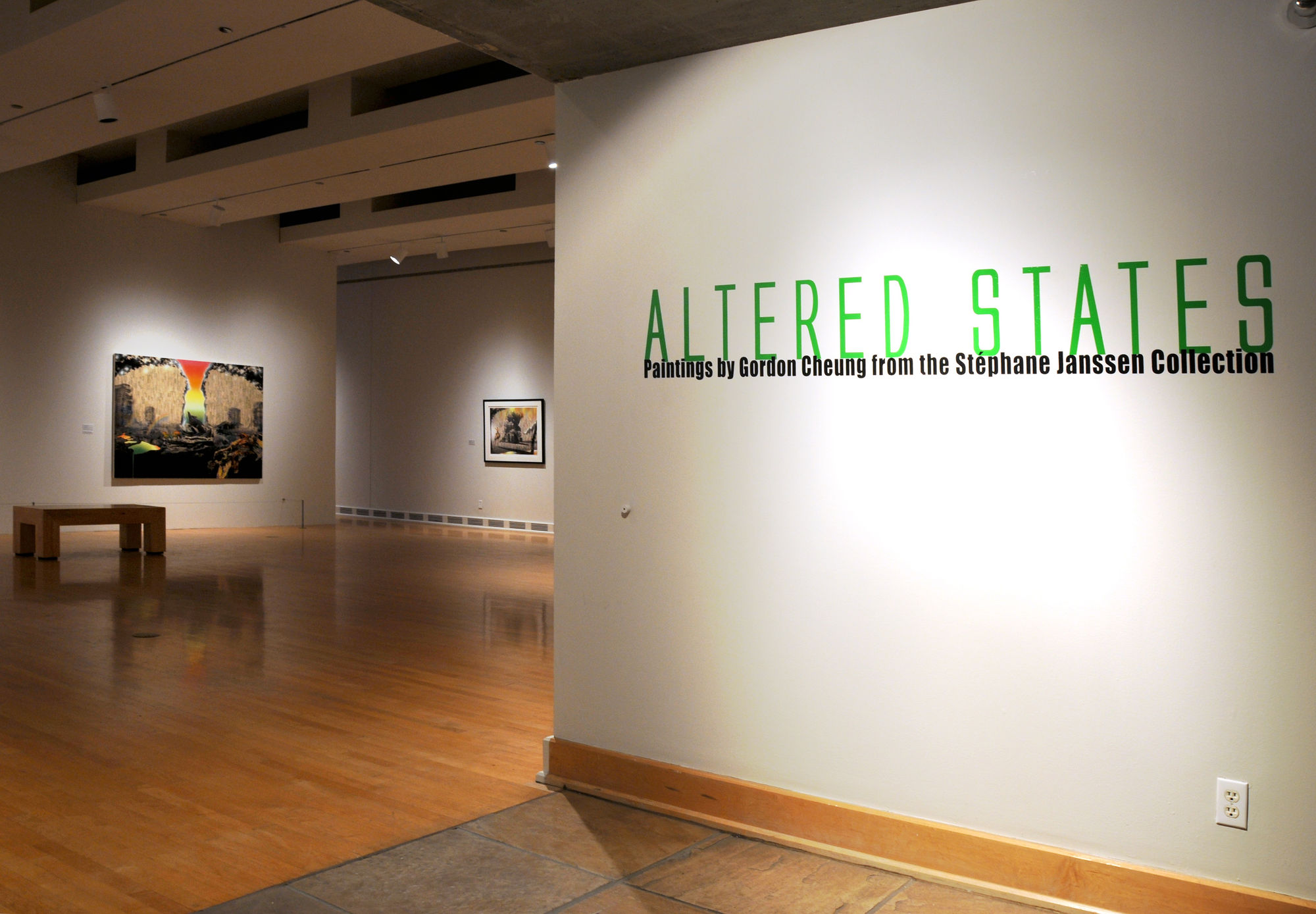 Altered States: Paintings by Gordon Cheung from the Stéphane Janssen Collection