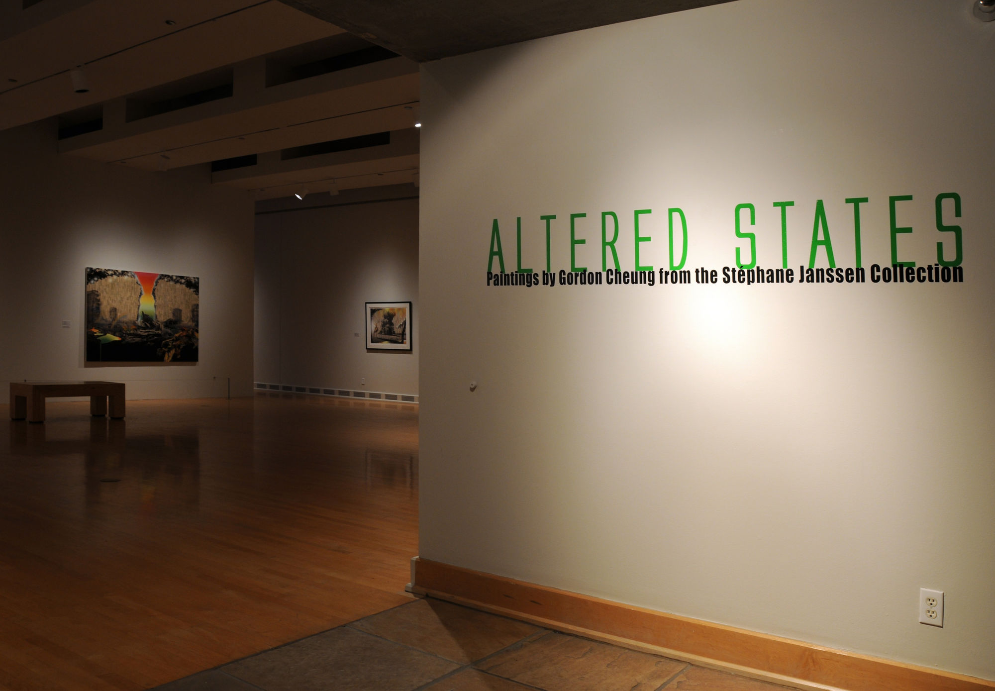 Altered States: Paintings by Gordon Cheung from the Stéphane Janssen Collection