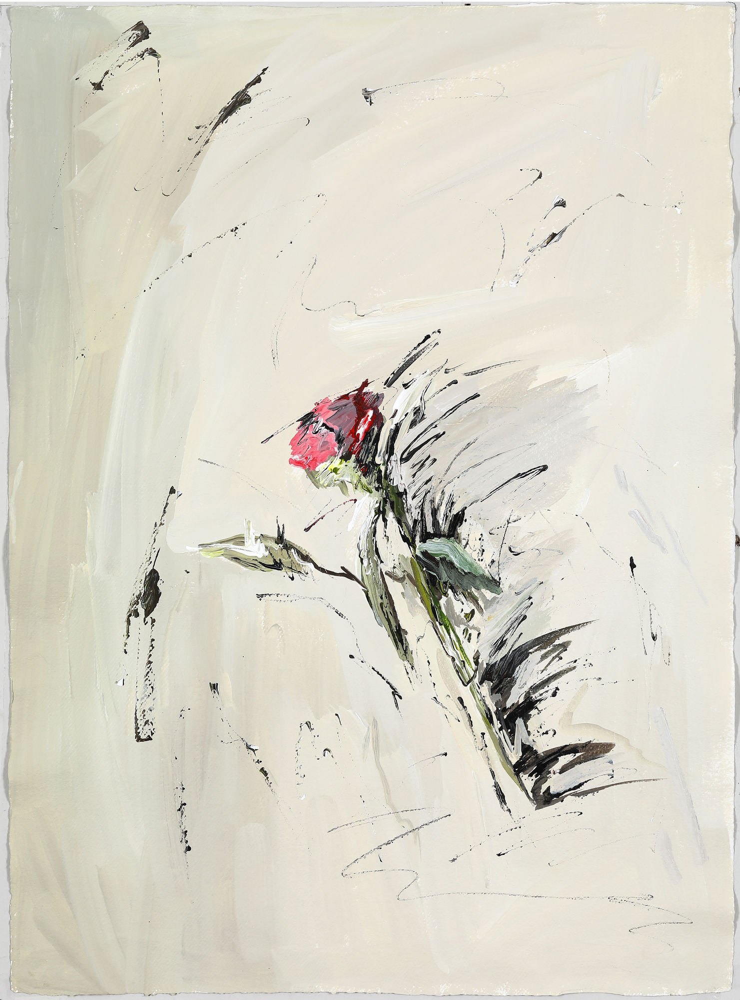 Heo Chanmi, 모래와 꽃과 그림자, 2022