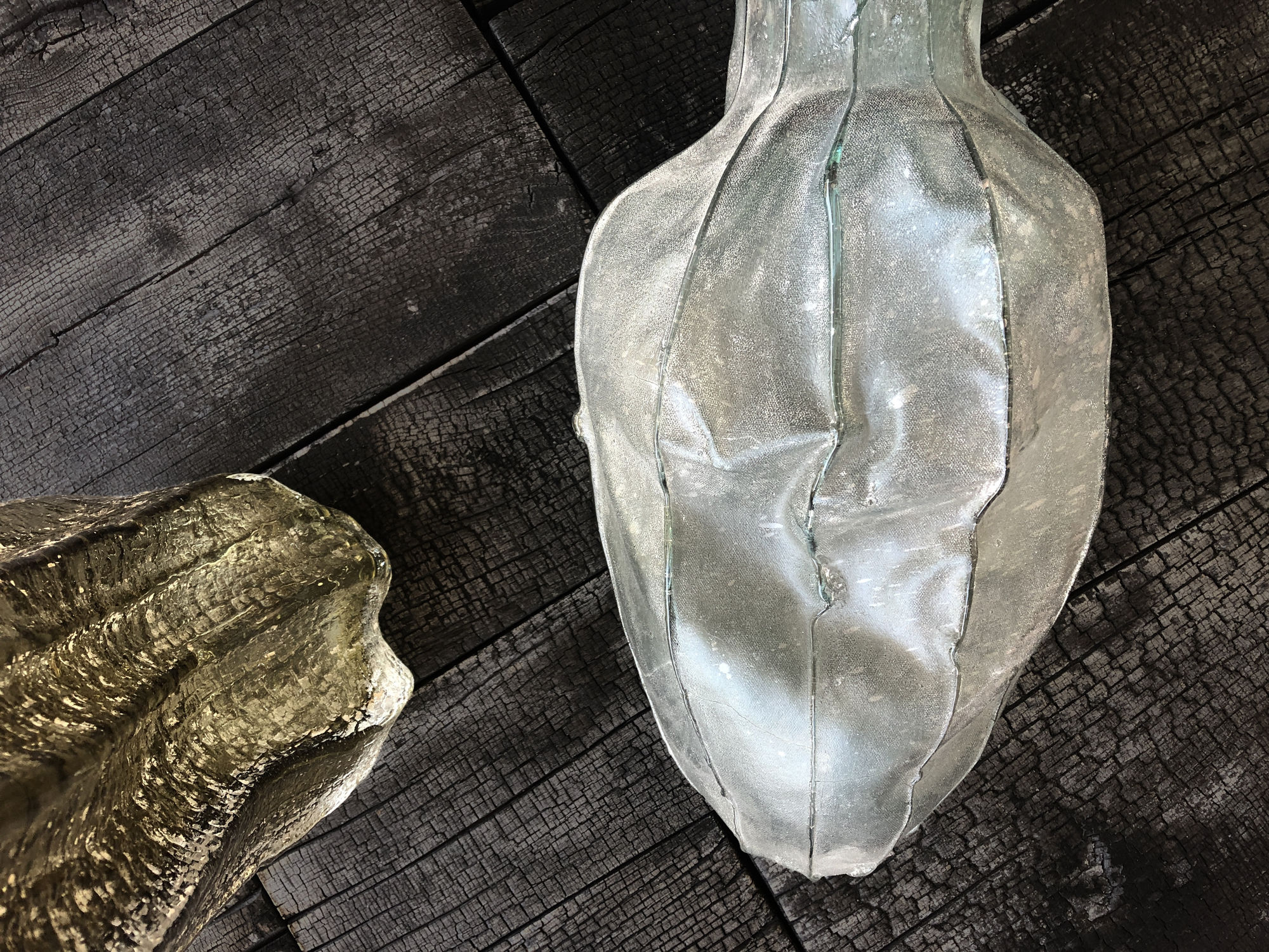 A SORT OF HOMECOMING