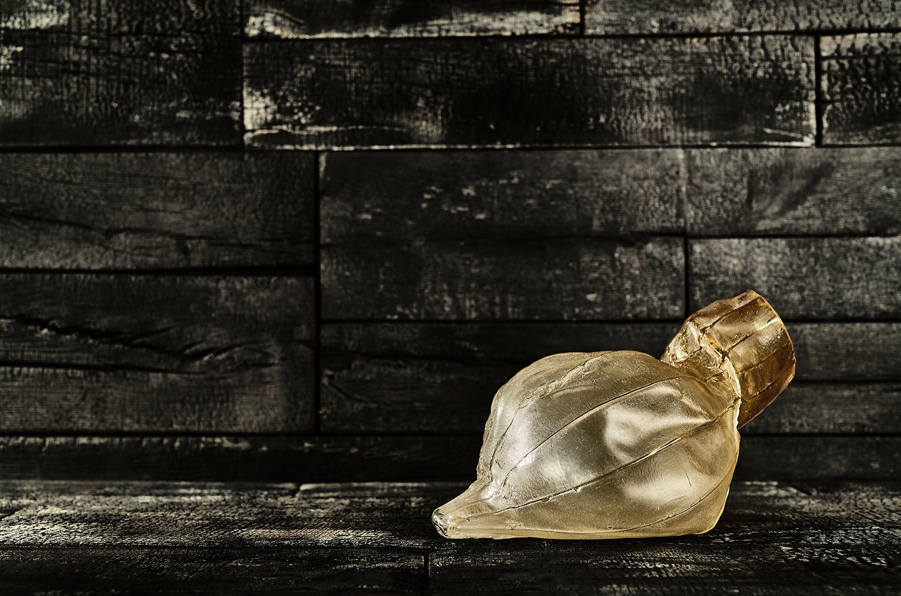 A SORT OF HOMECOMING